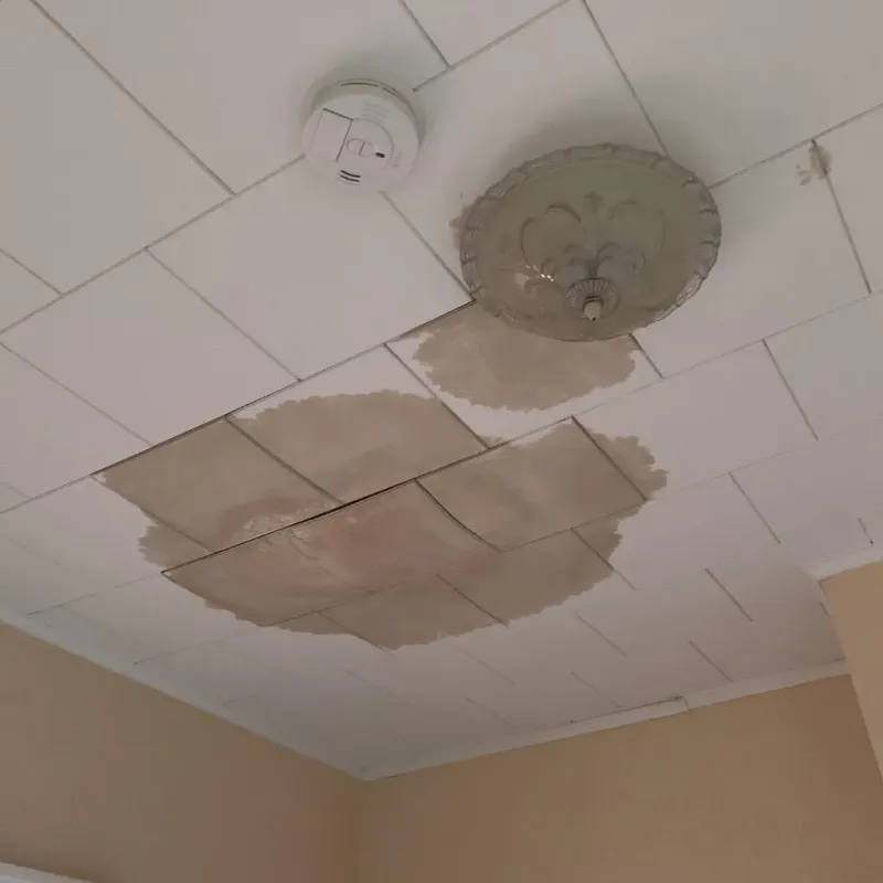 Ceiling Water Damage Repair in Red Corral, CA